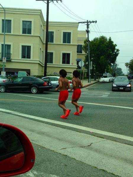 Daily Picdump