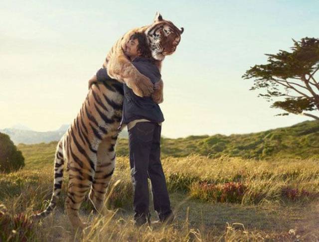 Well, There Is Something That You Don’t See Everyday