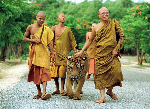 Well, There Is Something That You Don’t See Everyday