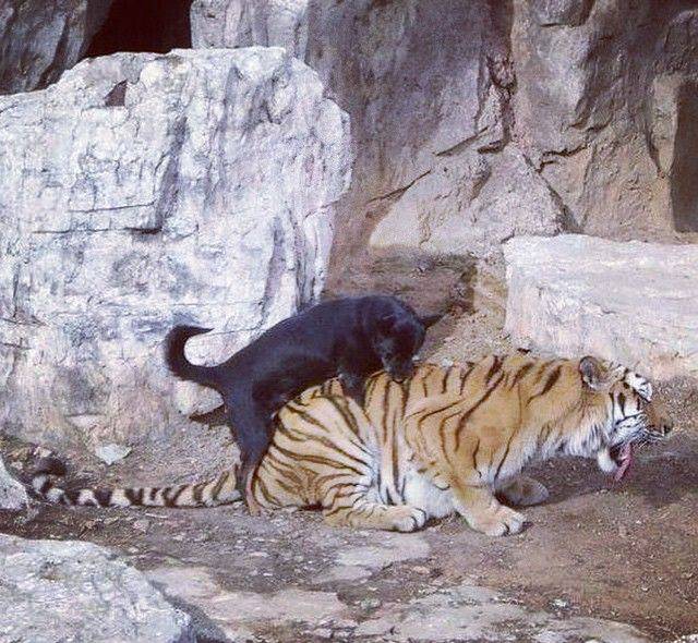 Well, There Is Something That You Don’t See Everyday