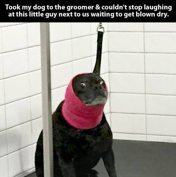 Well, There Is Something That You Don’t See Everyday