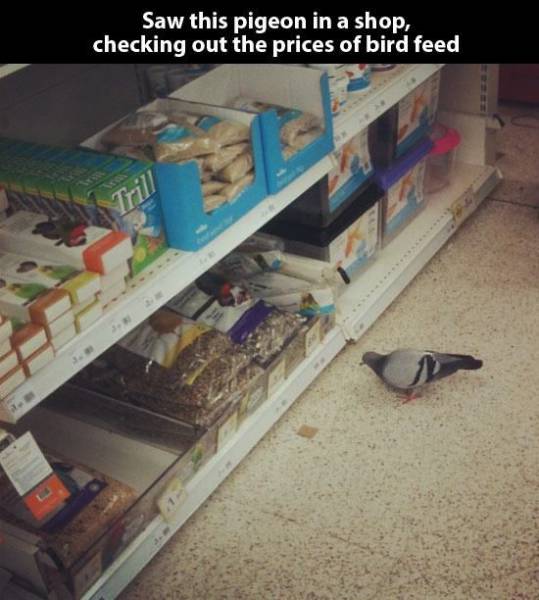 Well, There Is Something That You Don’t See Everyday