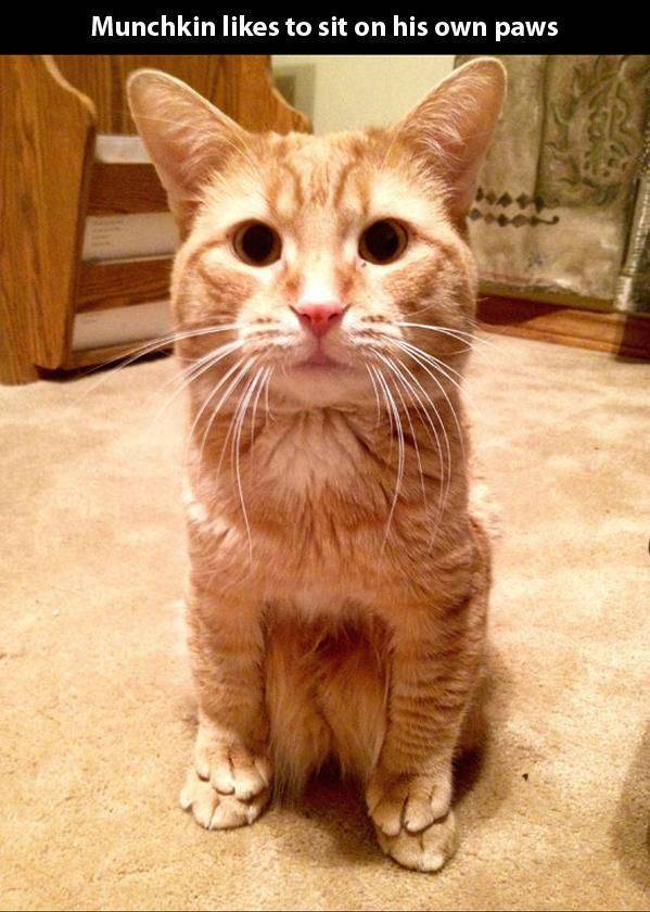 Well, There Is Something That You Don’t See Everyday