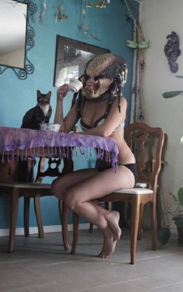 Daily Picdump
