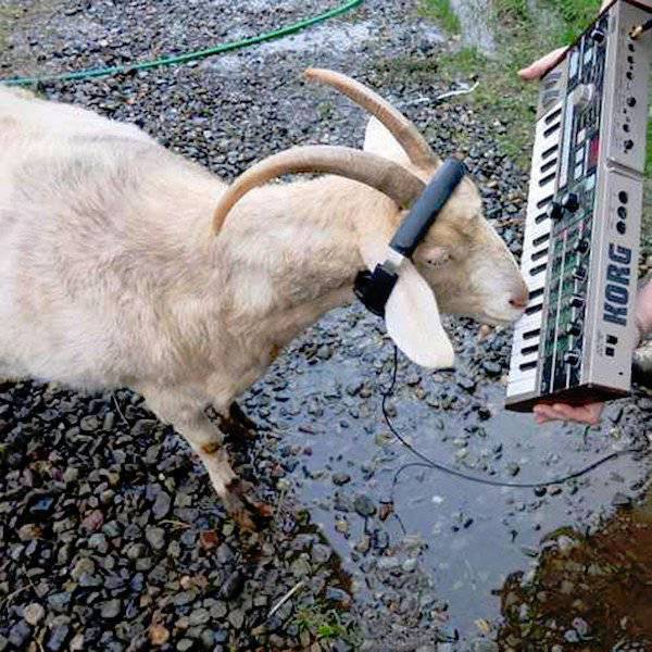 Daily Picdump [WEEKEND EDITION]