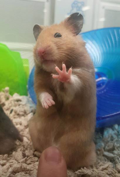 Daily Picdump [WEEKEND EDITION]