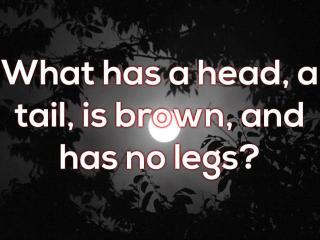 Neat Brainteasers With Their Answers Written On Mouthwatering Pictures