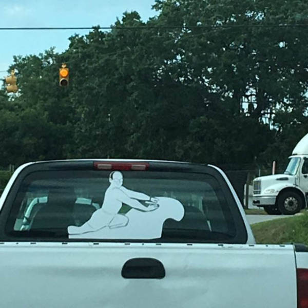 Morning Picdump