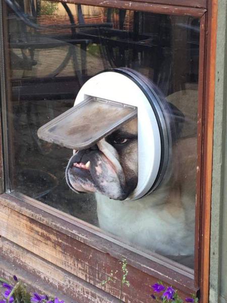 Daily Picdump