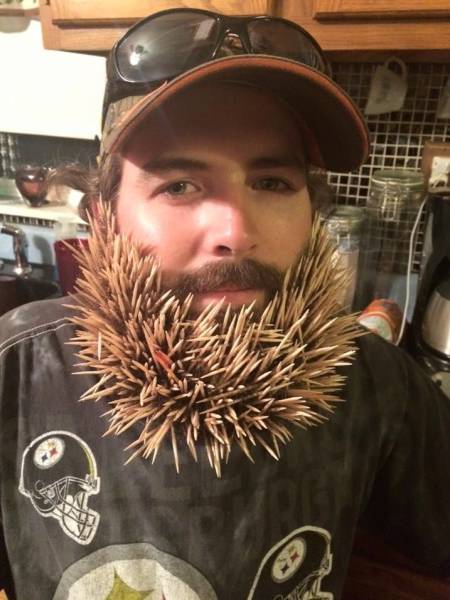 Daily Picdump