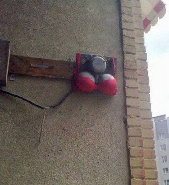 Daily Picdump