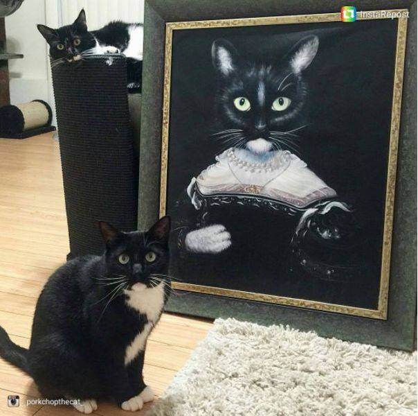 Daily Picdump