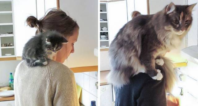 Daily Picdump