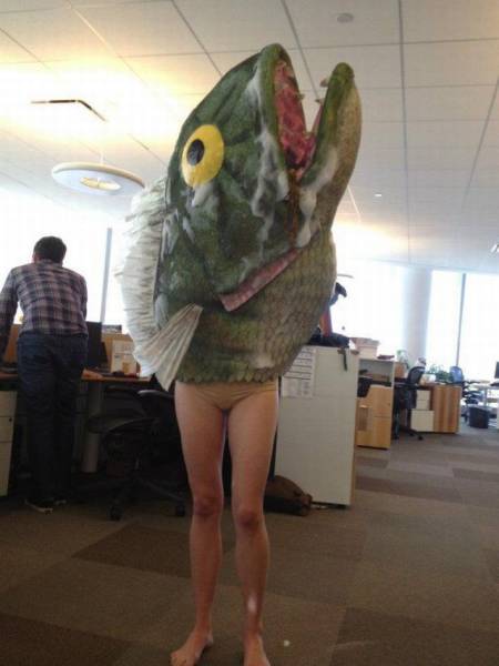 Daily Picdump