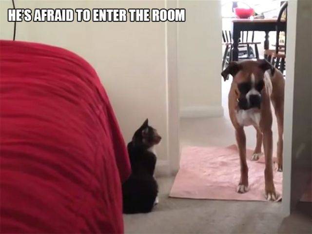 Daily Picdump