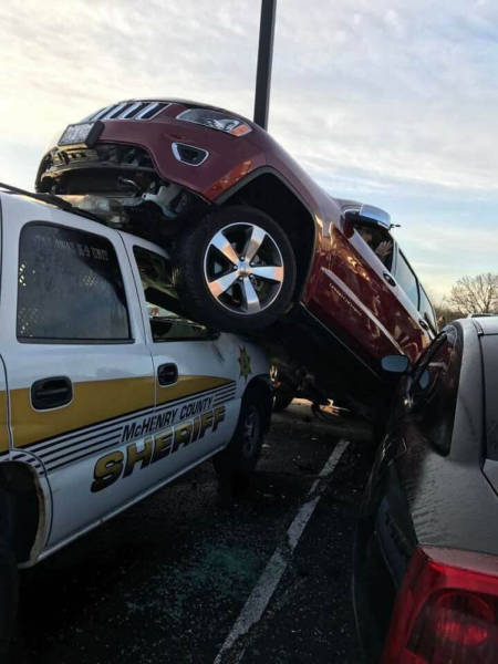 Morning Picdump